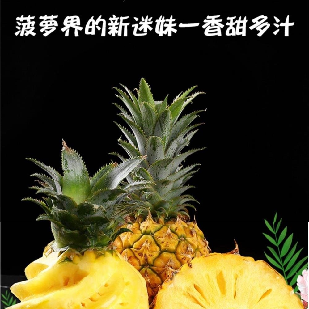 海南糖水菠萝鲜嫩多汁