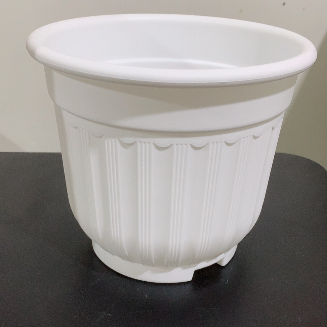 罗马口21白4个无托