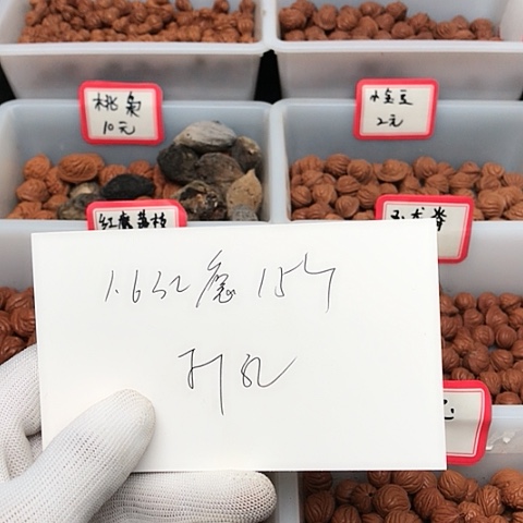 桃核吊坠暴***卜龙纹桃核的设计