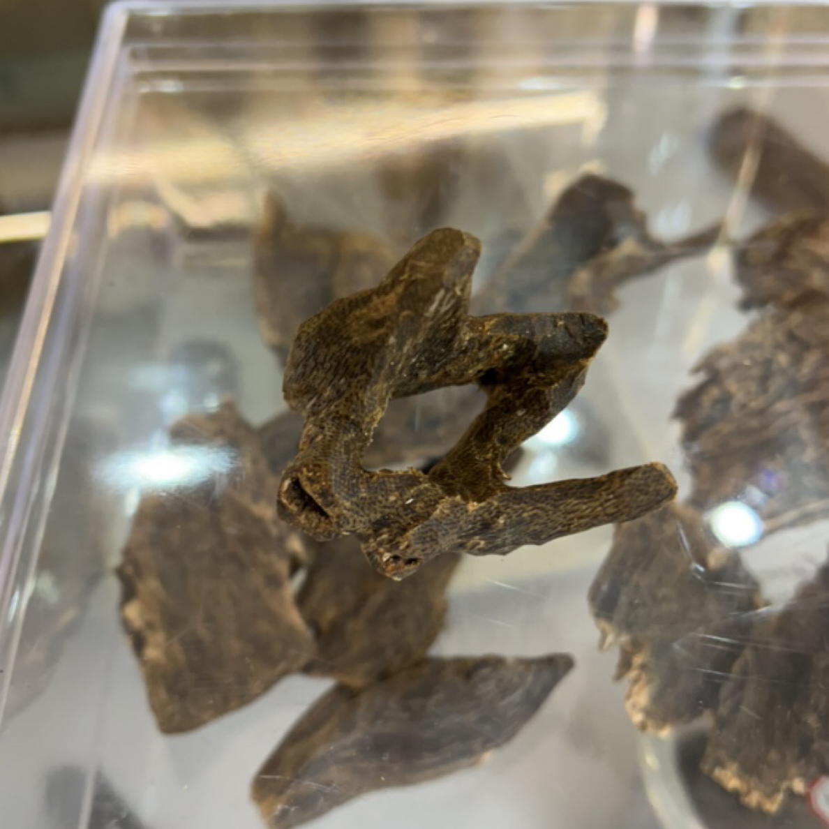 家居熏香虫漏老料23克