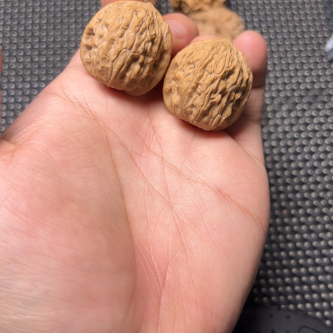 文玩核桃吊坠野生