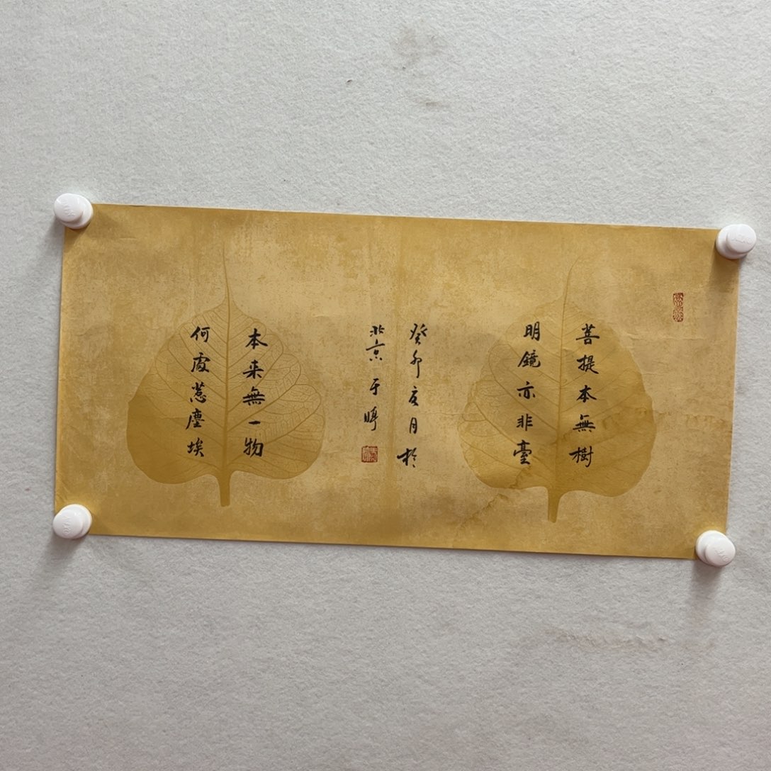 书法于婷老师作品