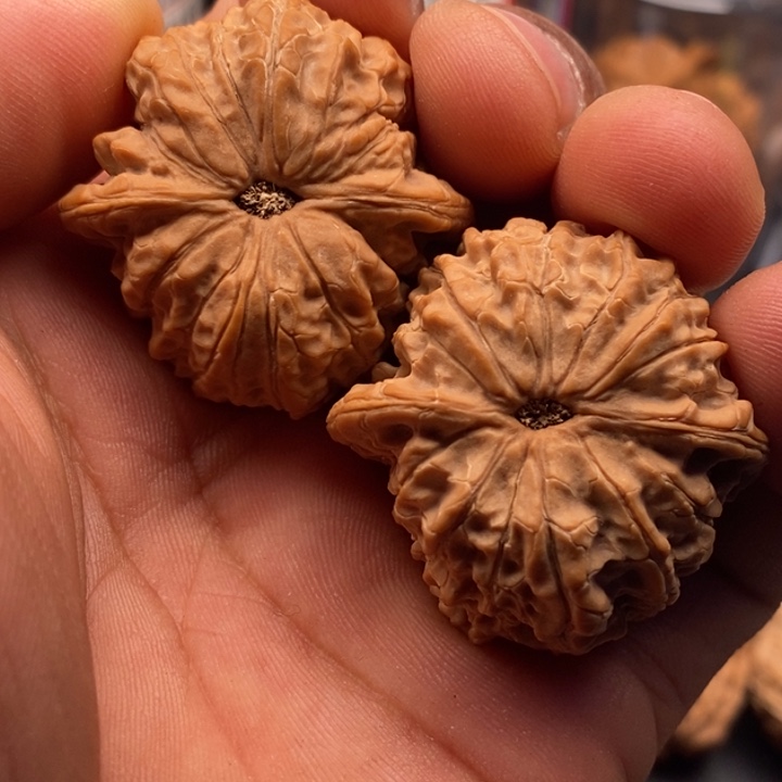 J***…把件文玩核桃血麒麟38