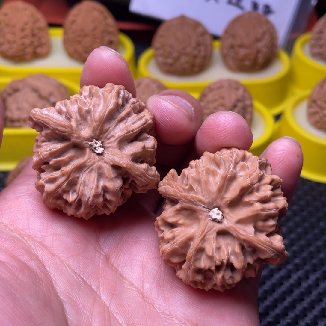 文玩核桃把件全品42苹果园