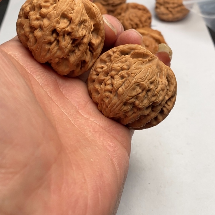 幸****铁锤的威力是无穷的