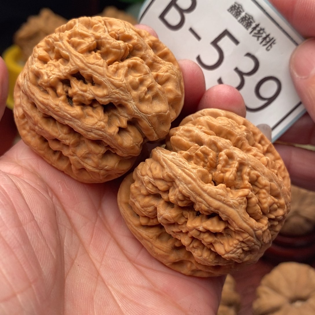 文玩核桃把件粗筋44