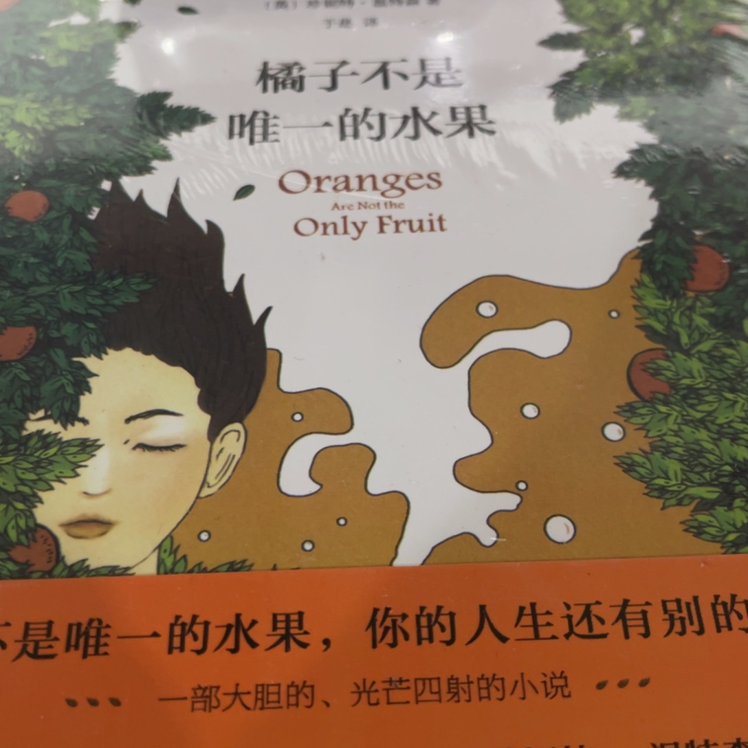 橘子不是唯一的水果