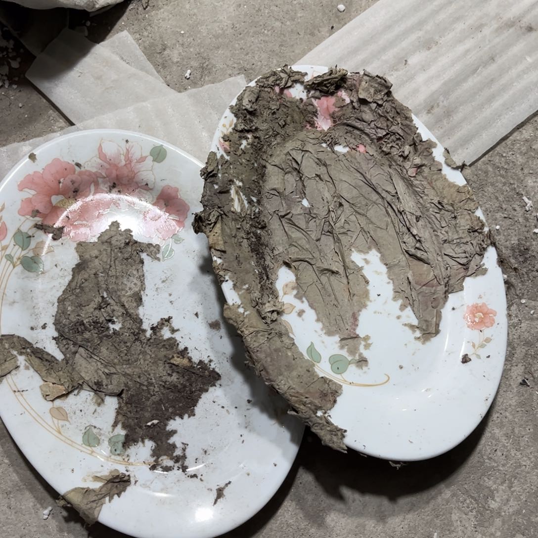 影***录其他陶瓷哈哈哈哈哈哈哈