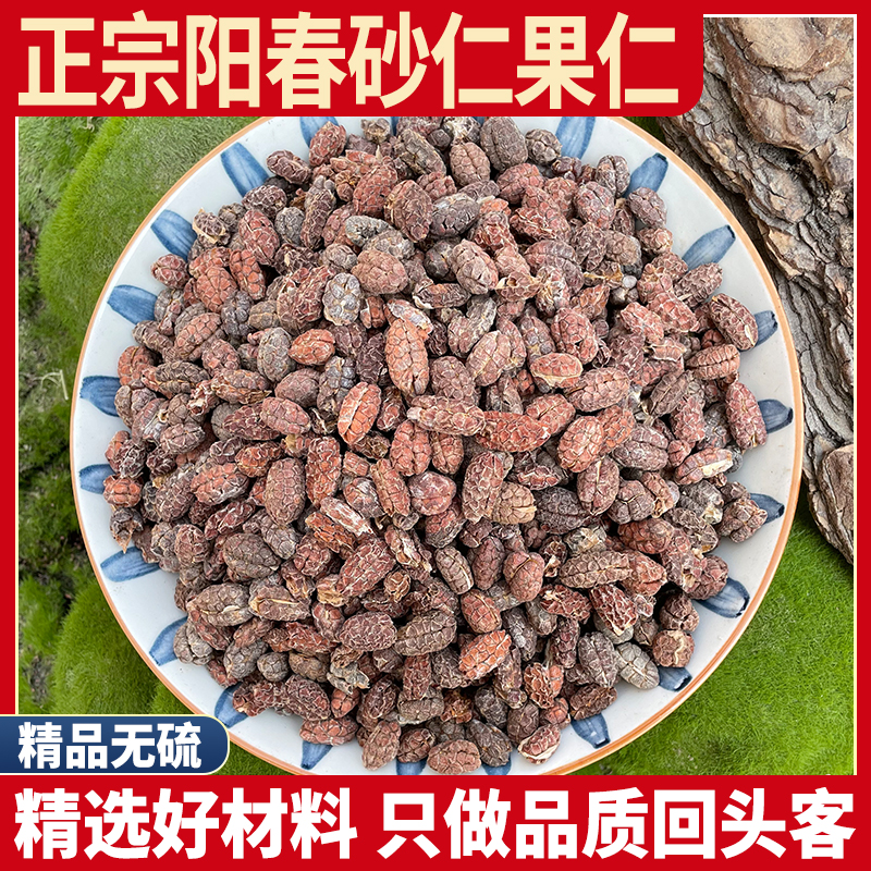 正宗阳春砂仁果 250g砂仁果泡水茶毛砂仁干正品非野生去壳砂仁米