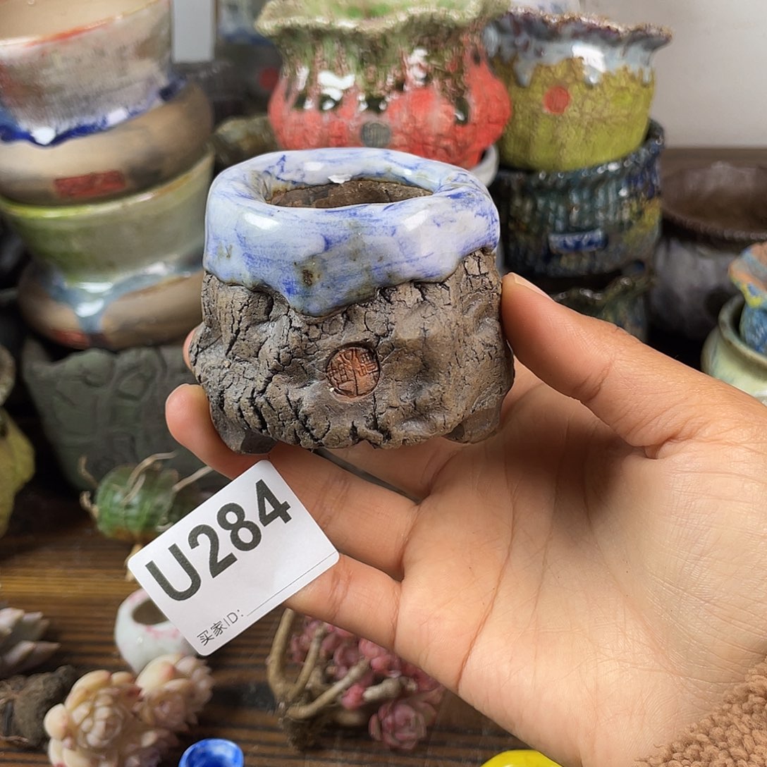 默认微次 跨年福利 坛子姐花盆