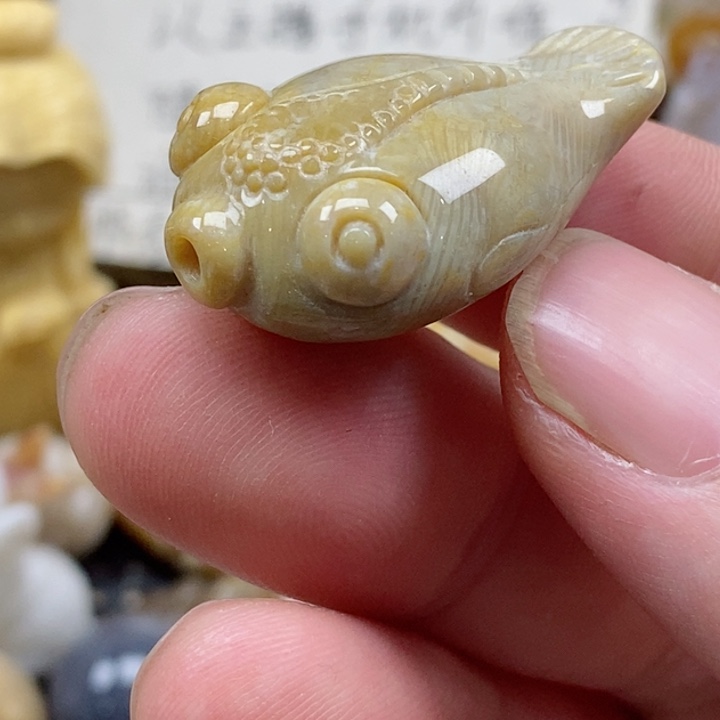 颈饰未镶嵌硅化珊瑚（珊瑚玉）小
