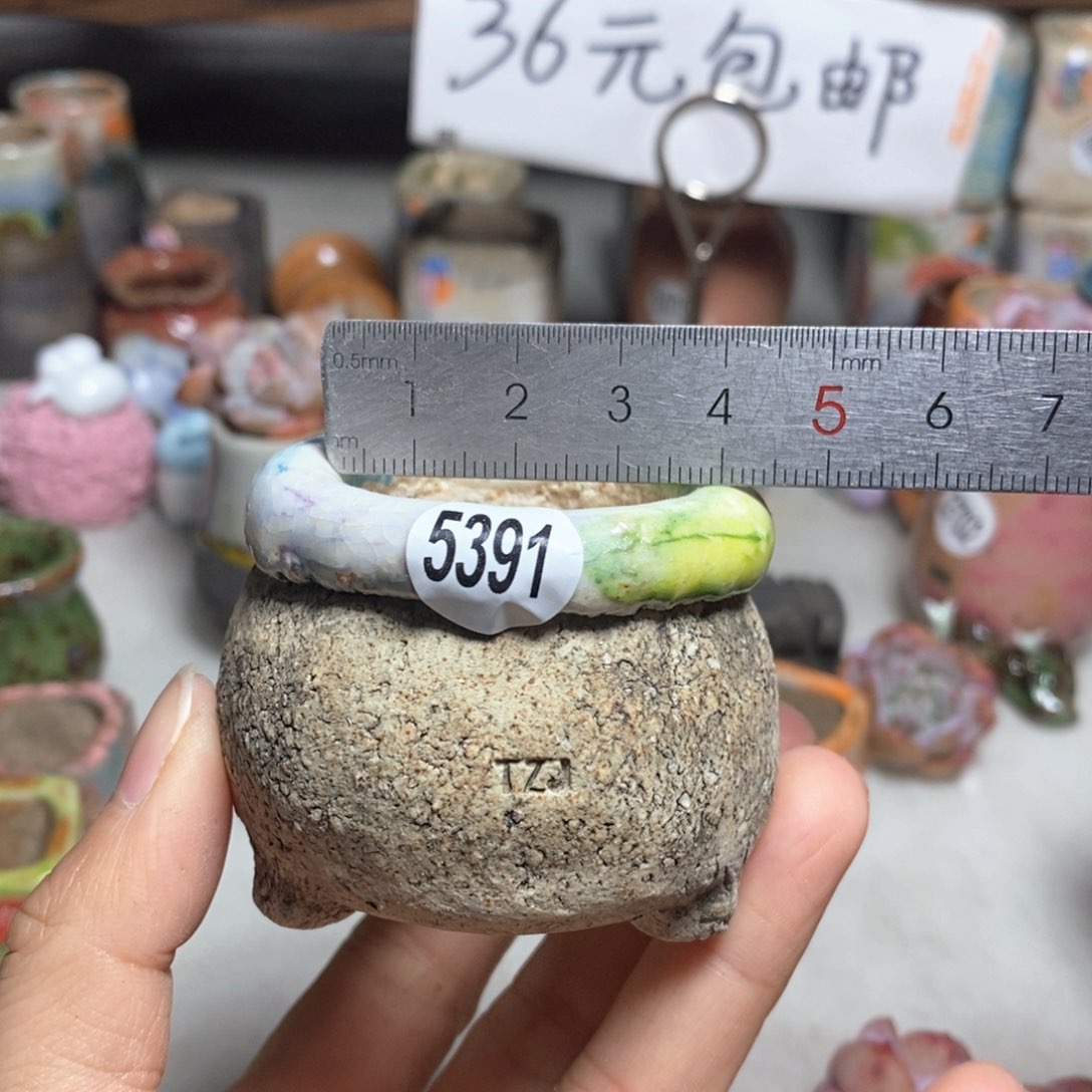 拍3送一个小礼物 