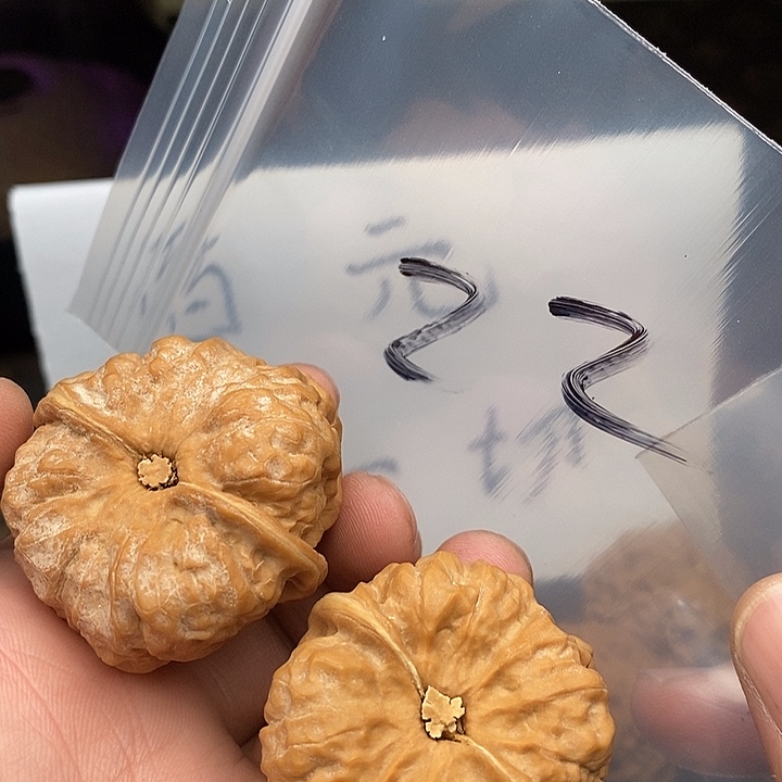 吊坠文玩核桃W369386693694694694