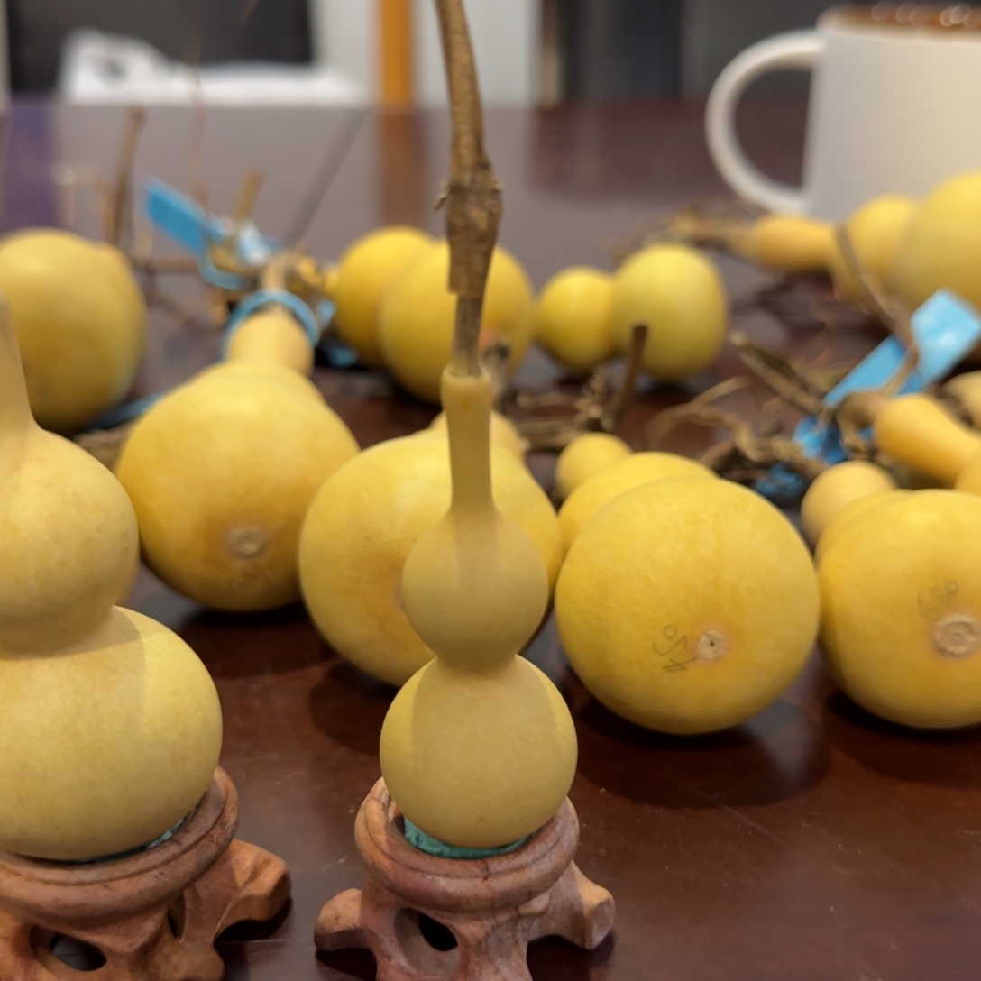 青皮不包成青皮不包成