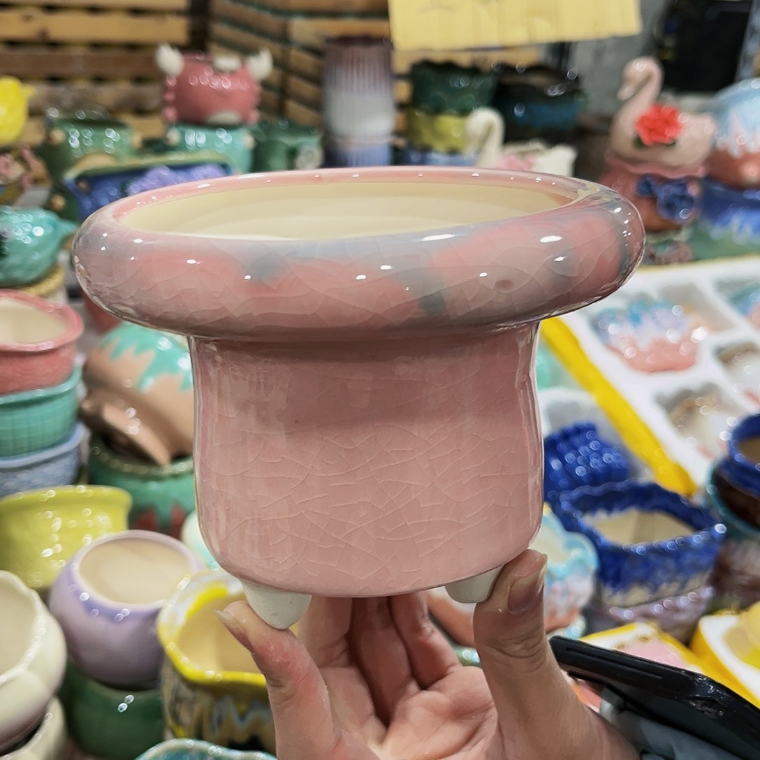 陶瓷福利款多肉花盆