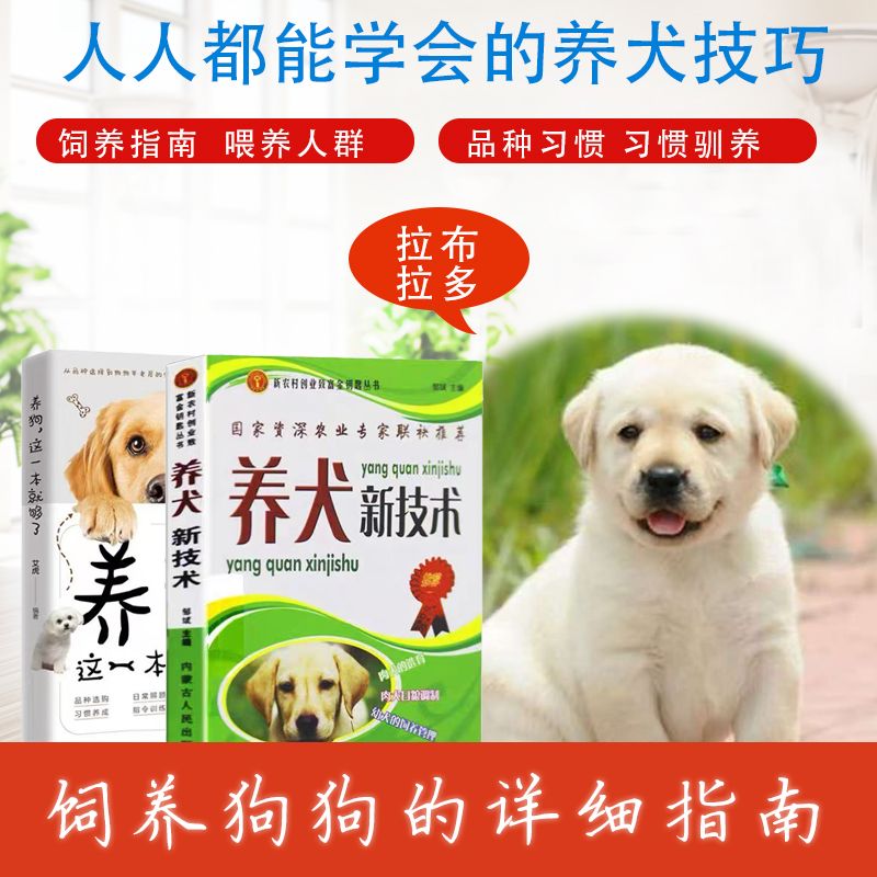 教你如何挑选狗 狗的饲养指南和教程