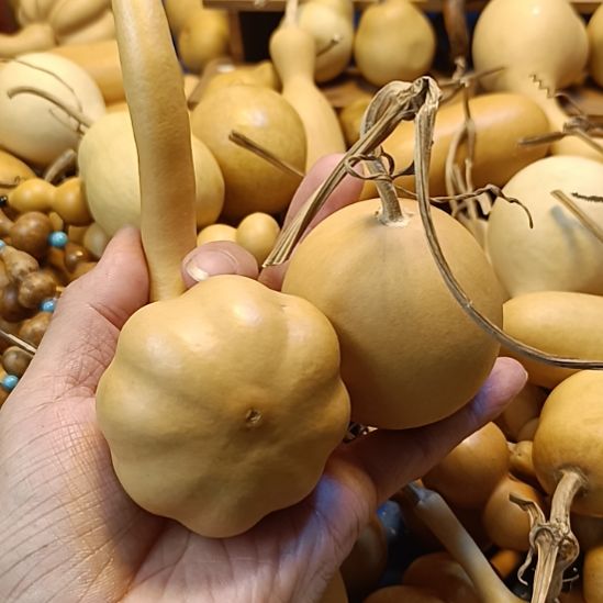 直播间专供链接葫芦