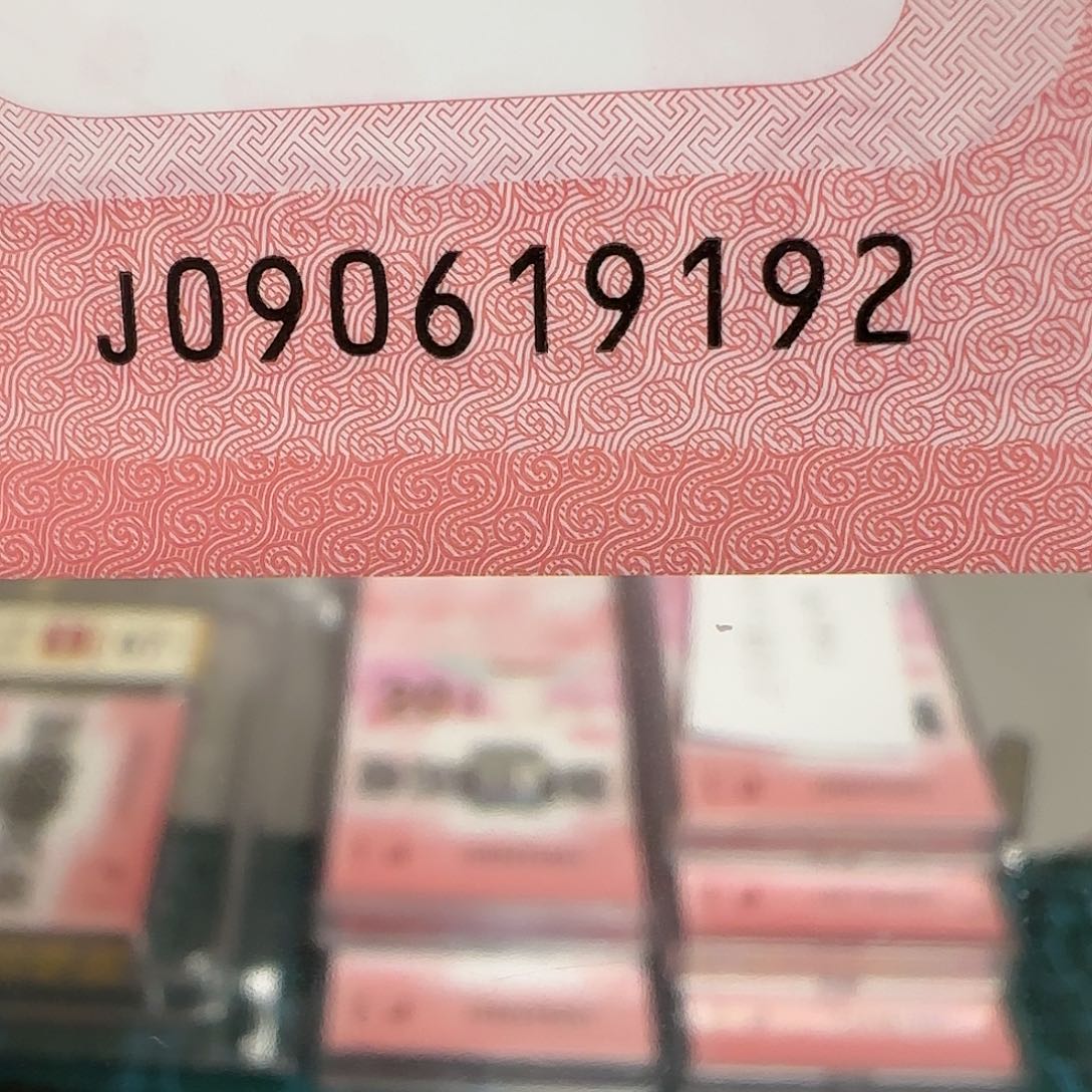 塑料十年纪念钞朦胧号