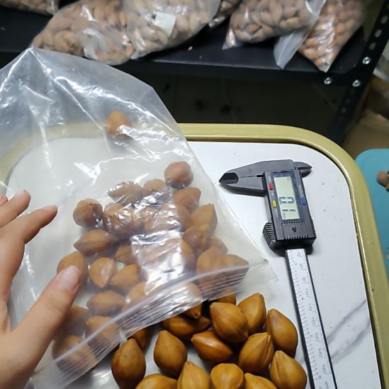 基***睿吊坠橄榄核黄胖子