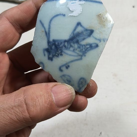 瓷片瓷片瓷片瓷片瓷片