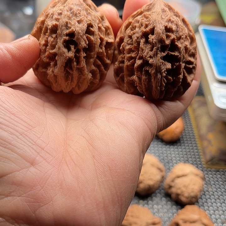 把件桃核九龙筋边42