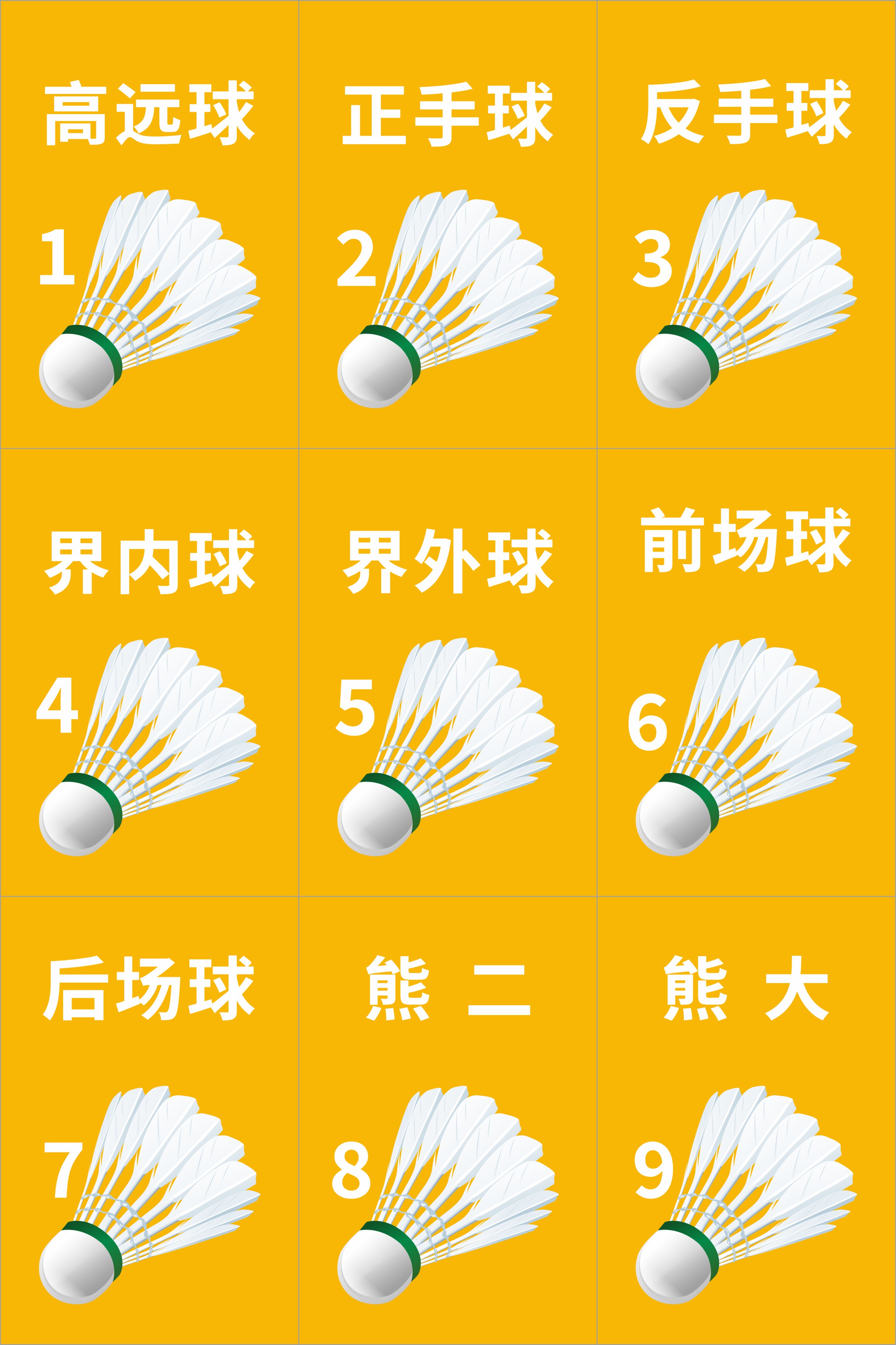老 baby 新人拍下无效！ 老baby需补差40     9种类球 羽毛球盲卡