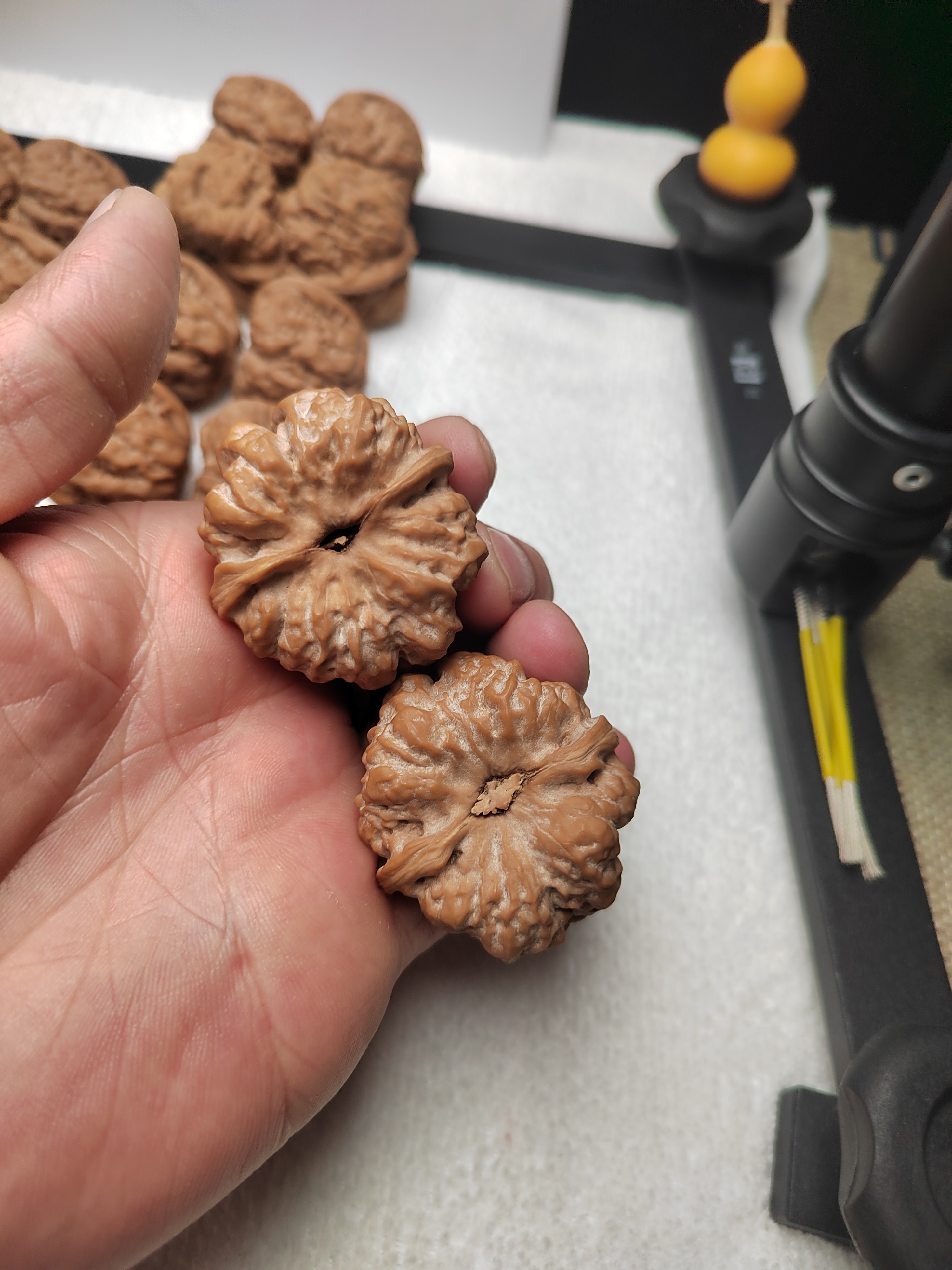 金蟾蛤蟆头文玩核桃