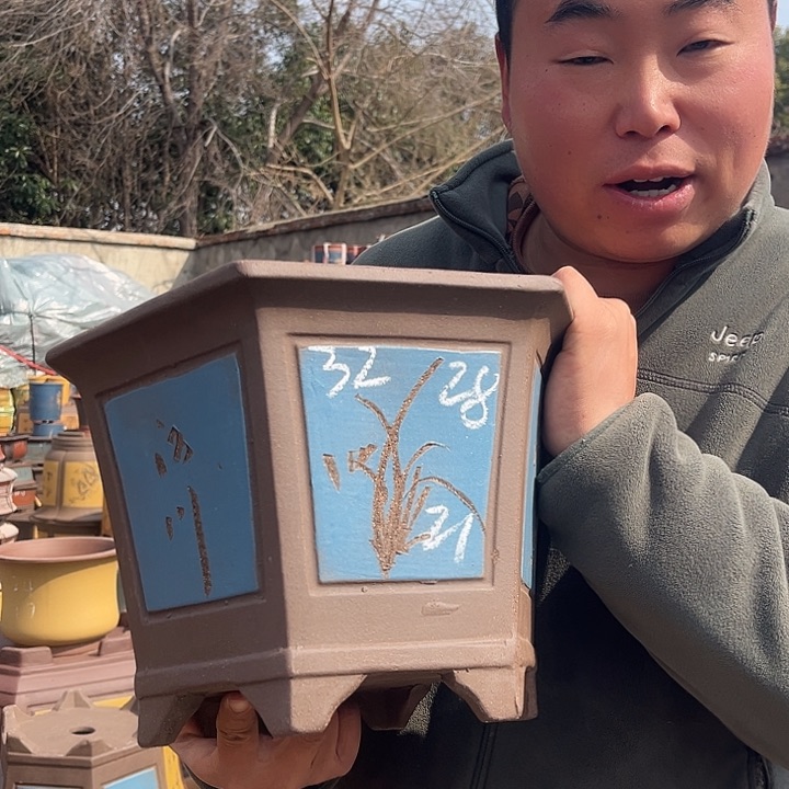 紫砂紫砂花盆盆栽