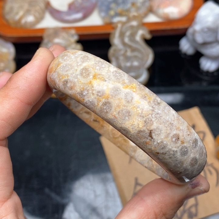 硅化珊瑚（珊瑚玉）颈饰未镶嵌54.4