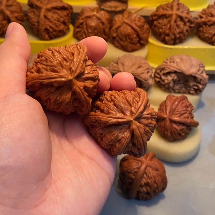 茶***欢把件文玩核桃Yhhhhgg