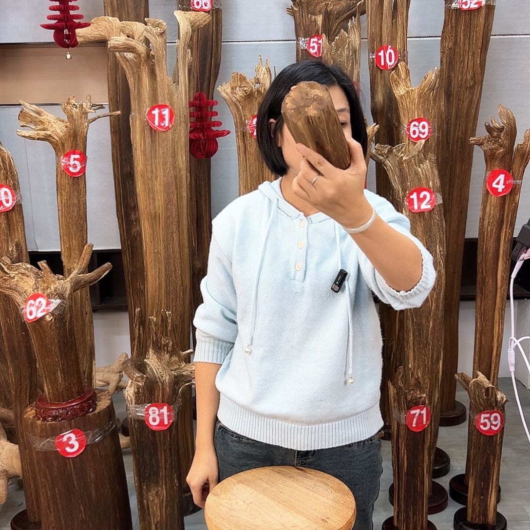 沉香摆件海南沉香摆件