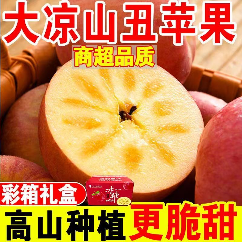 【康正优选】正宗大凉山冰糖心丑苹果新鲜脆甜多汁现摘水果5-8斤