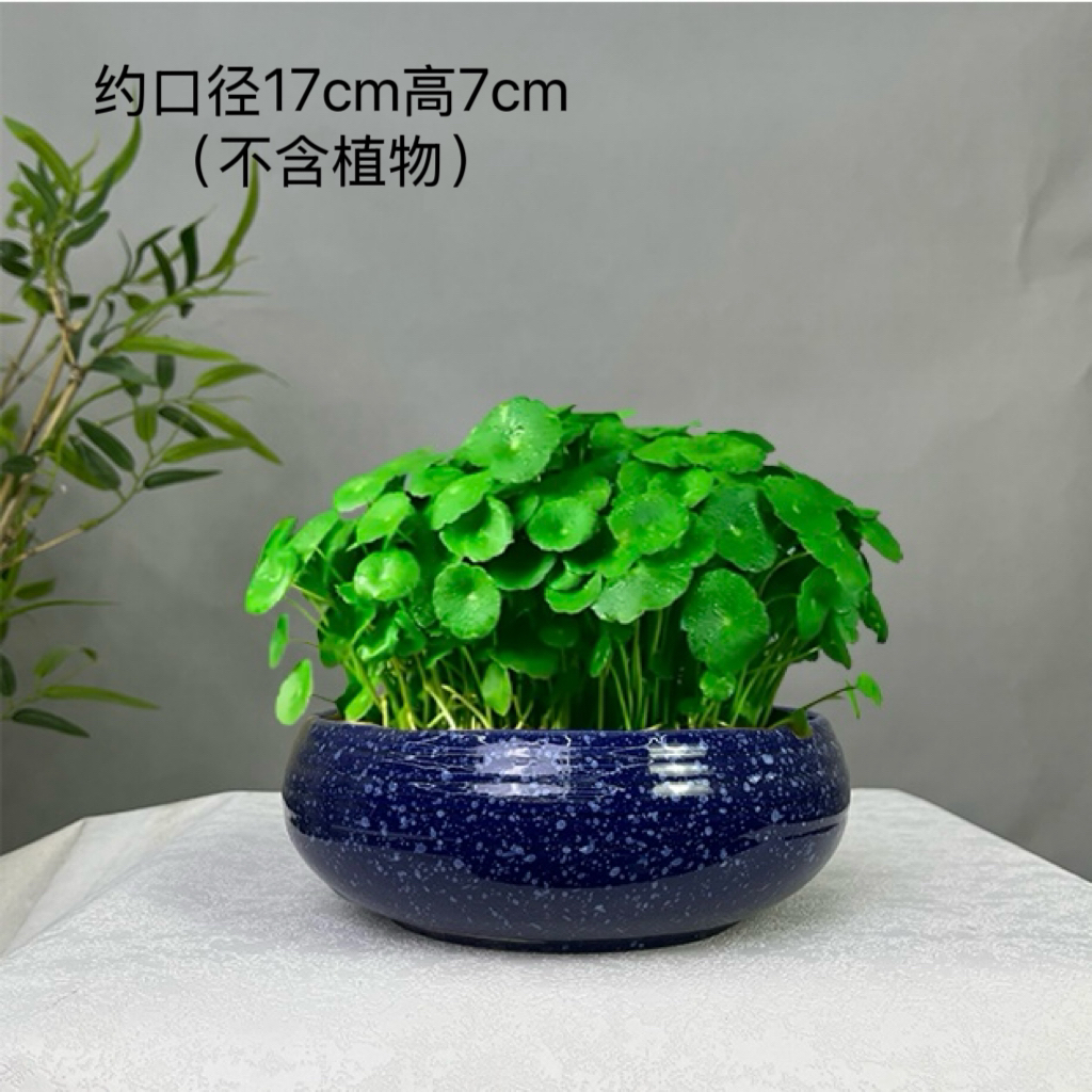 朝梦陶瓷花盆简约陶瓷水培盆水仙铜钱草用于室内阳台绿植盆