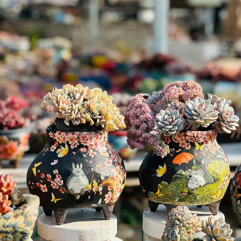 T01月04日【精品韩盆直播】 金姐妹进口高端品质手工盆