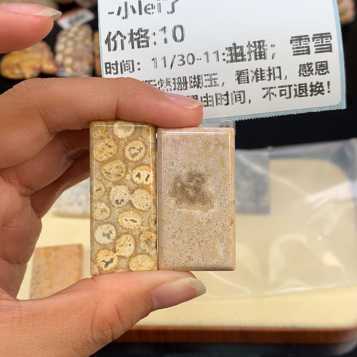 【闪购商品】颈饰未镶嵌硅化珊瑚（珊瑚玉）-****了