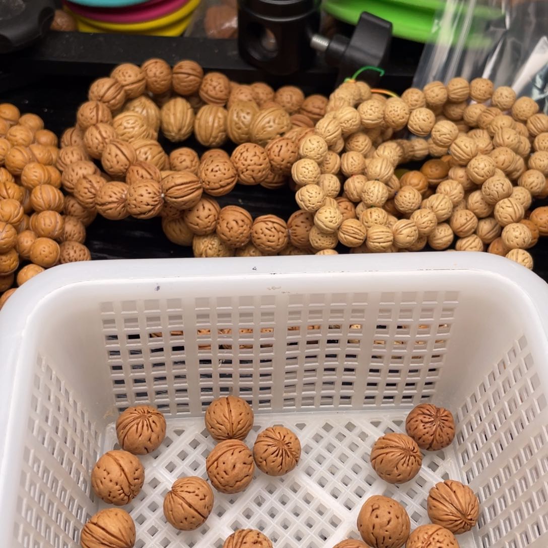 【闪购商品】羁***林散子批发15米