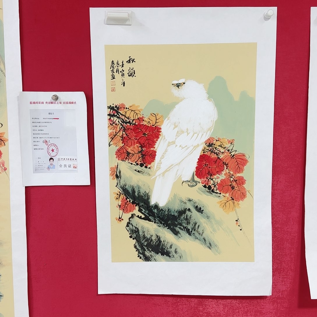 国画红皮书指出在