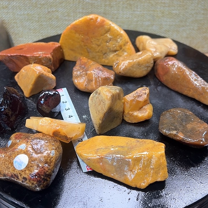 寿山石印石竹**）寿山石印石