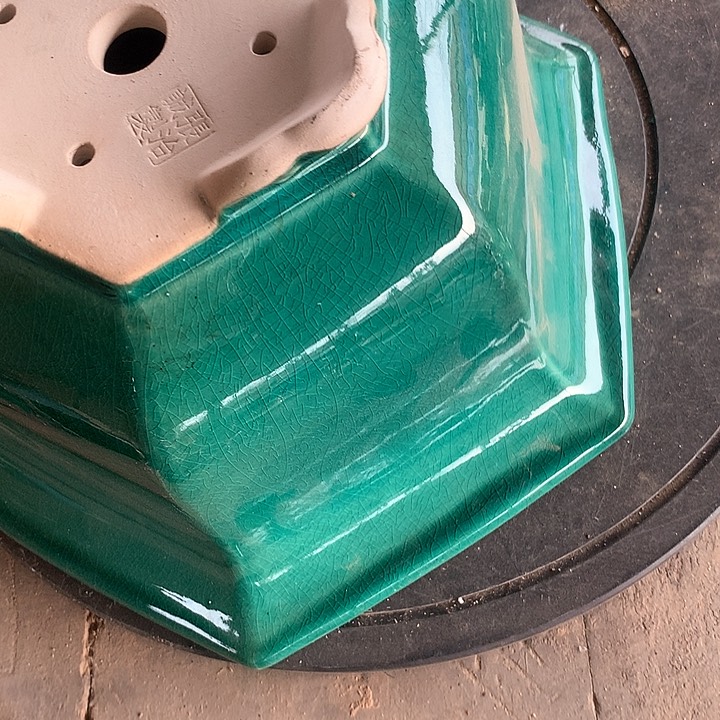 紫砂淘宝上所有产品可以免费