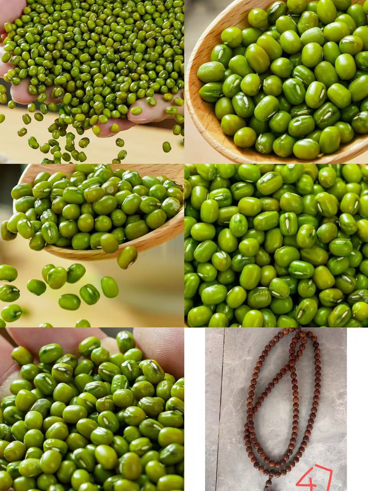 《47》龙腾专属土特产豆0.8cmx108-君0802-40g