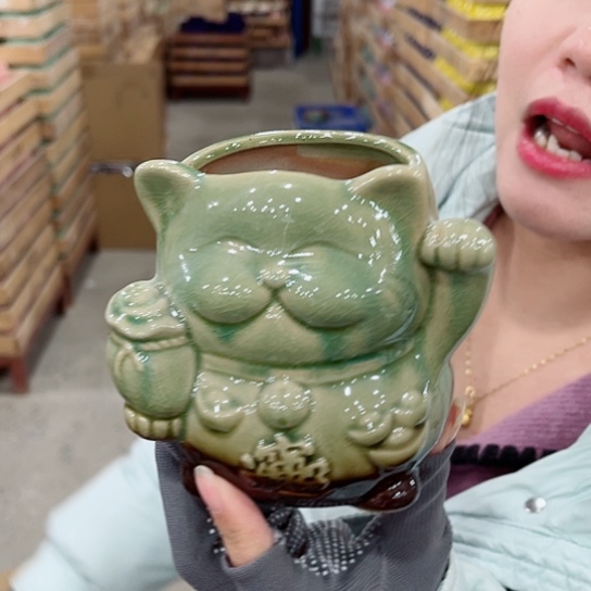 花盆凑单福利满10元发货！