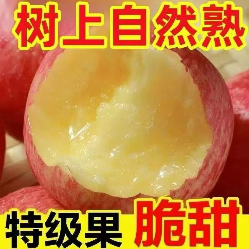 正宗山西苹果红富士苹果脆甜整箱当季新鲜水果非丑苹果