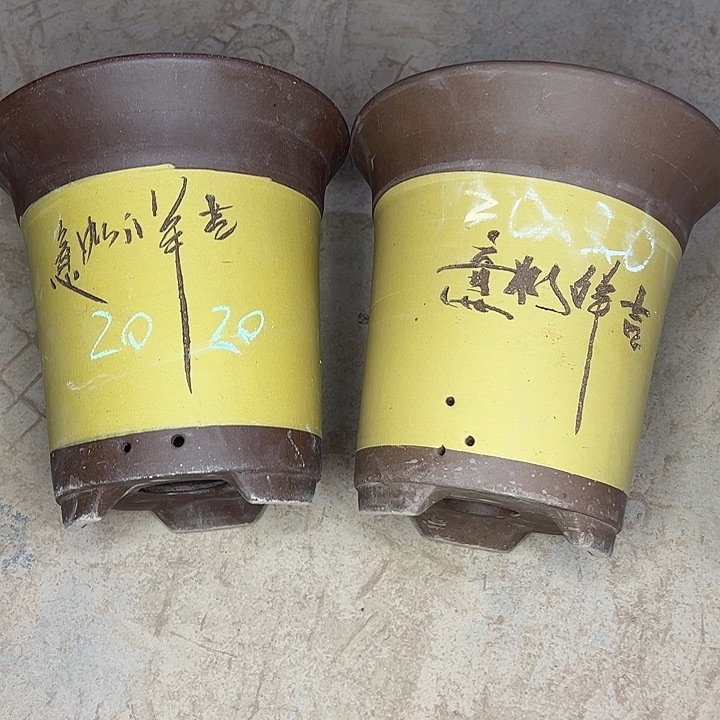 紫砂工艺厂……紫砂工艺厂