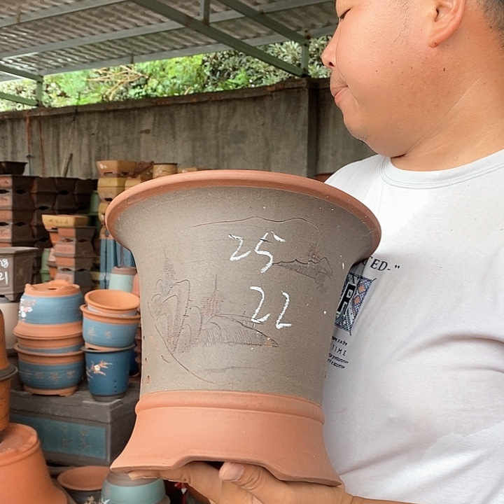 紫砂花盆盆栽花卉苗木种植
