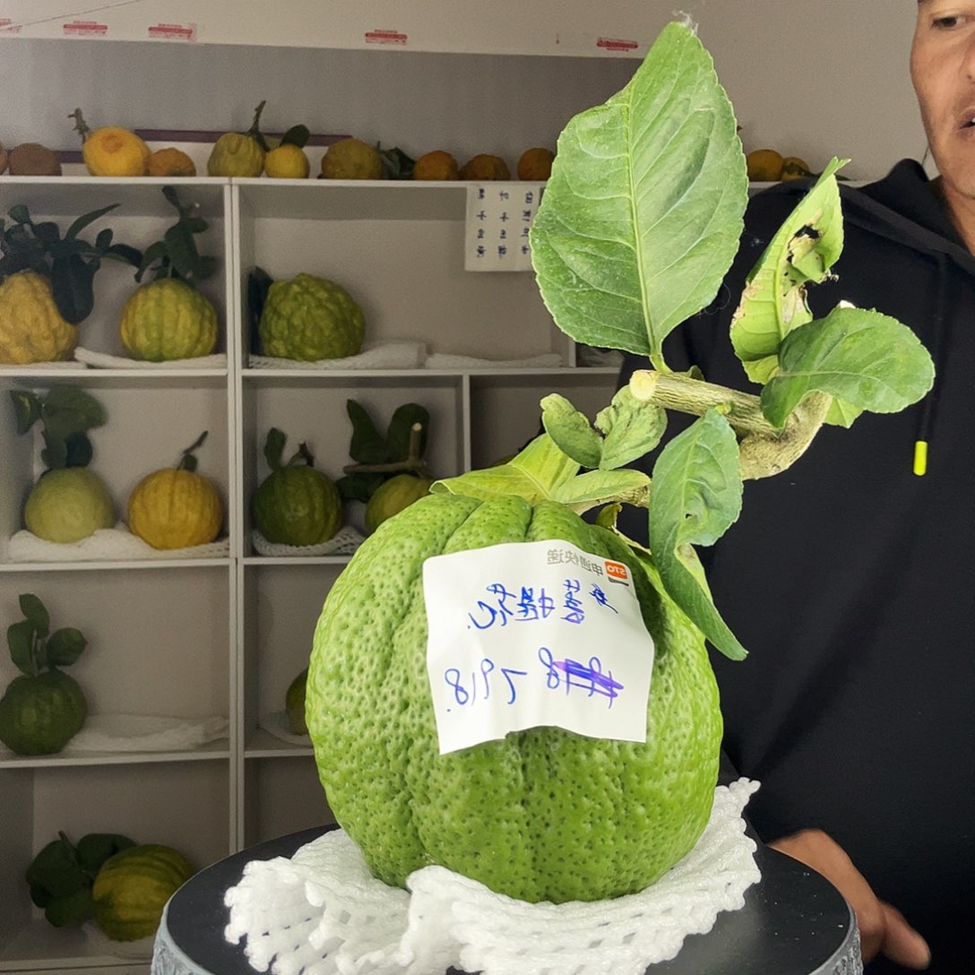 菩***开香水柠檬云南高山大香橼