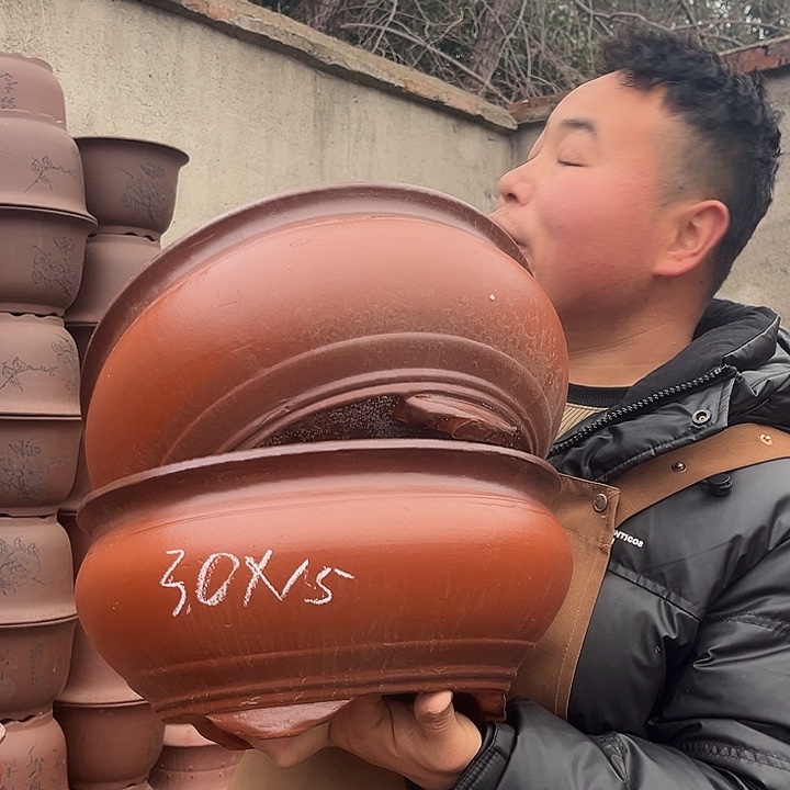 紫砂紫砂花盆盆栽