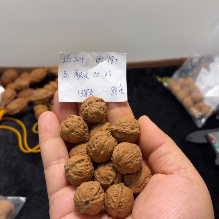 文玩核桃手串龟甲纹单圈12+1