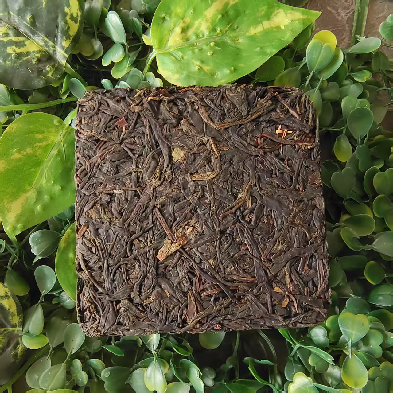 雨腾妹夫  菩提六叶L茶 端L“最Q生MT”全T+紫芽200g/砖生茶（6月23）