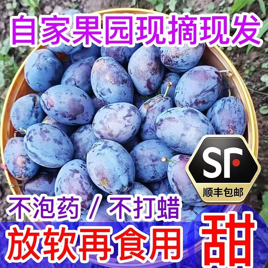 【顺丰包邮】正宗高山甜西梅当季现摘西梅当季新鲜大西梅