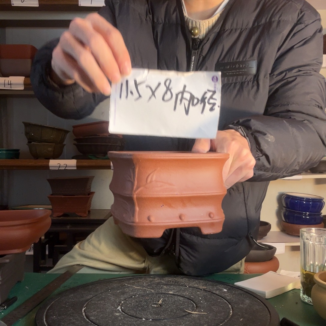 出想打退堂鼓尺寸